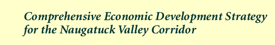 Comprehensive Economic Development Strategy